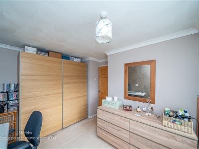Picture 19